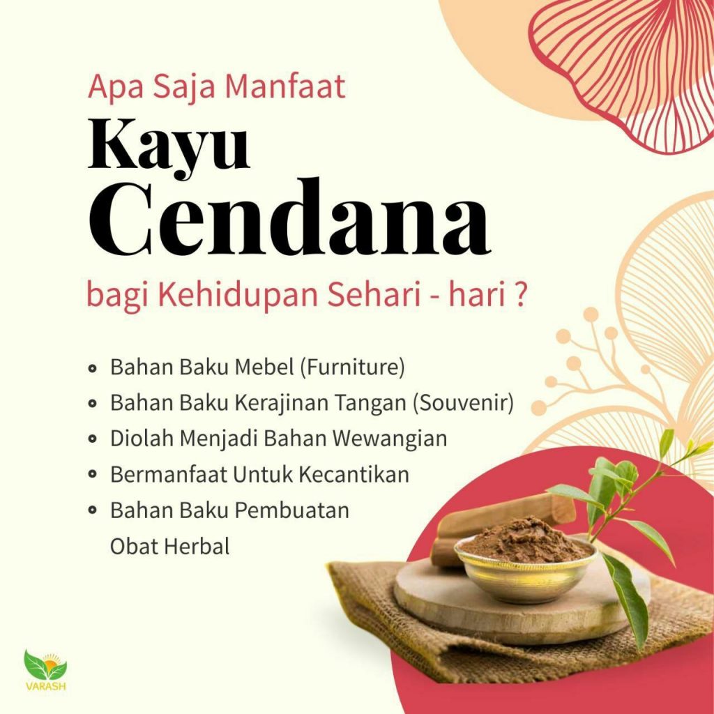 manfaat-kayu-cendana-varash.xyz_